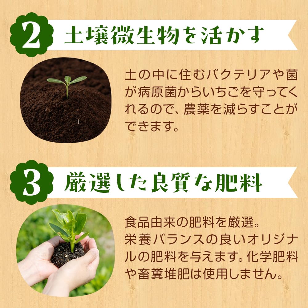 Amazon.co.jp: 小林農園の選べる朝摘み完熟いちご 約1kg（24～30粒